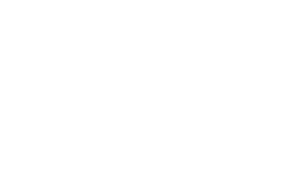
          tagyourbags
        